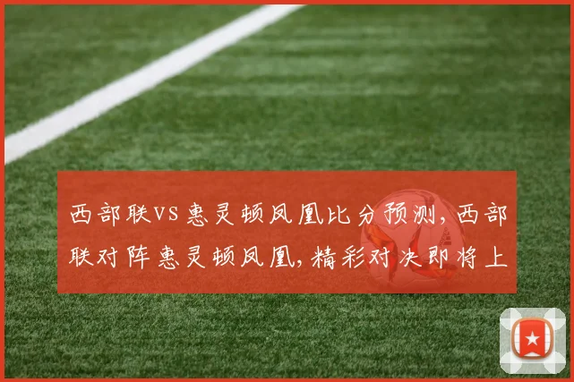 西部联vs惠灵顿凤凰比分预测,西部联对阵惠灵顿凤凰,精彩对决即将上演,悬念重重