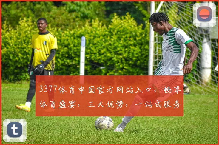 3377体育中国官方网站入口，畅享体育盛宴，三大优势，一站式服务，尽在掌握，必看入口