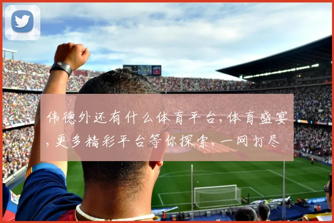 伟德外还有什么体育平台,体育盛宴,更多精彩平台等你探索,一网打尽