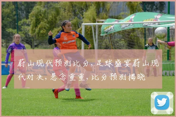 蔚山现代预测比分,足球盛宴蔚山现代对决,悬念重重,比分预测揭晓