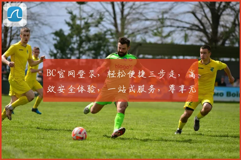 BC官网登录，轻松便捷三步走，高效安全体验，一站式服务，尊享无忧